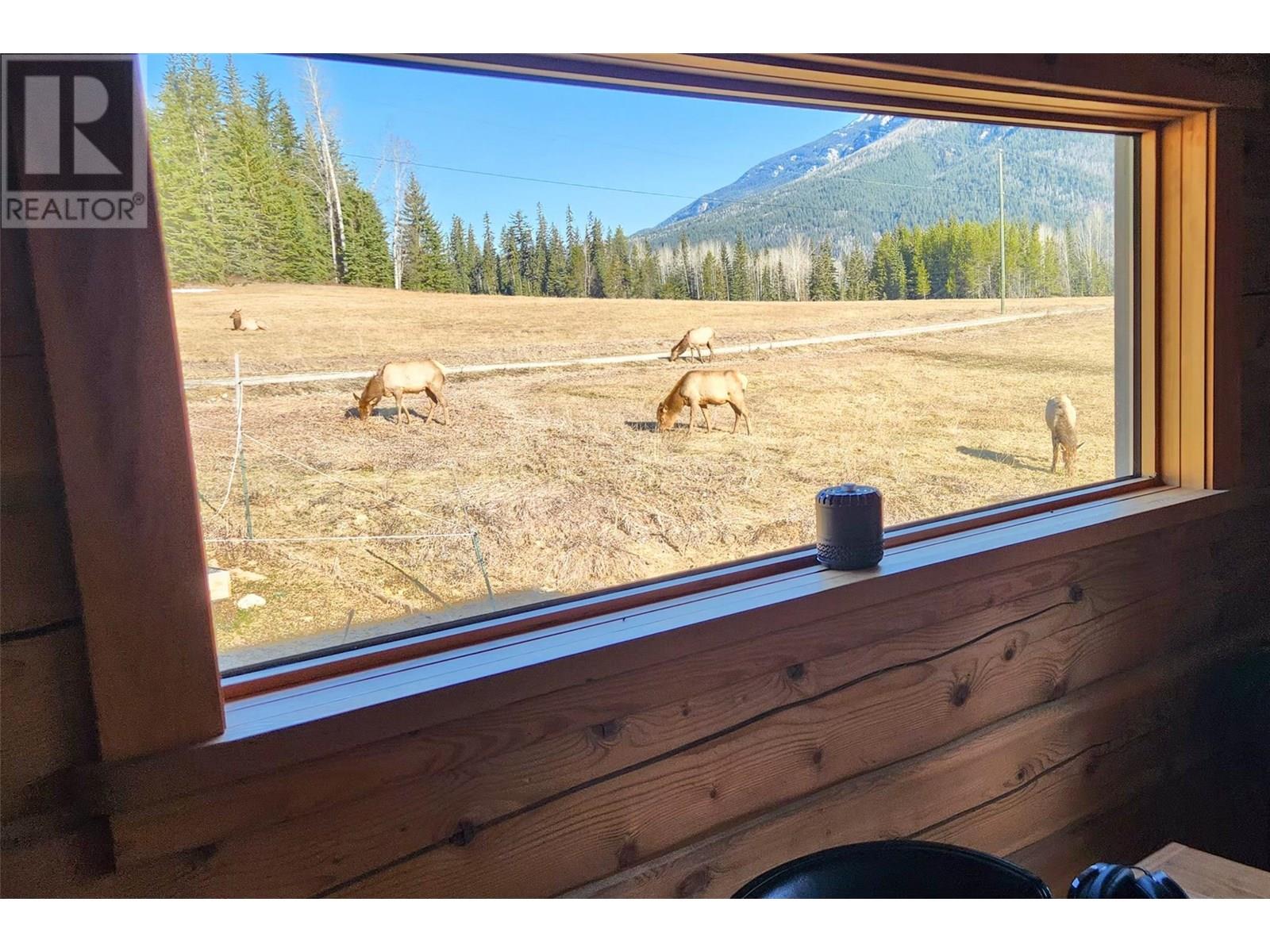 2550 Kettleston Road, Golden, British Columbia  V0A 1H1 - Photo 66 - 10354523