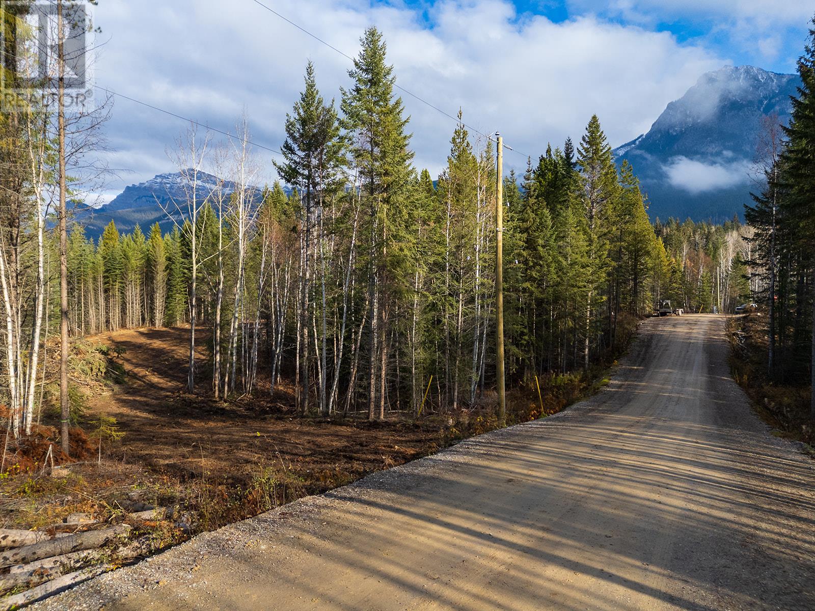 1506 Kashmir Court, Golden, British Columbia  V0A 1H1 - Photo 8 - 10354527