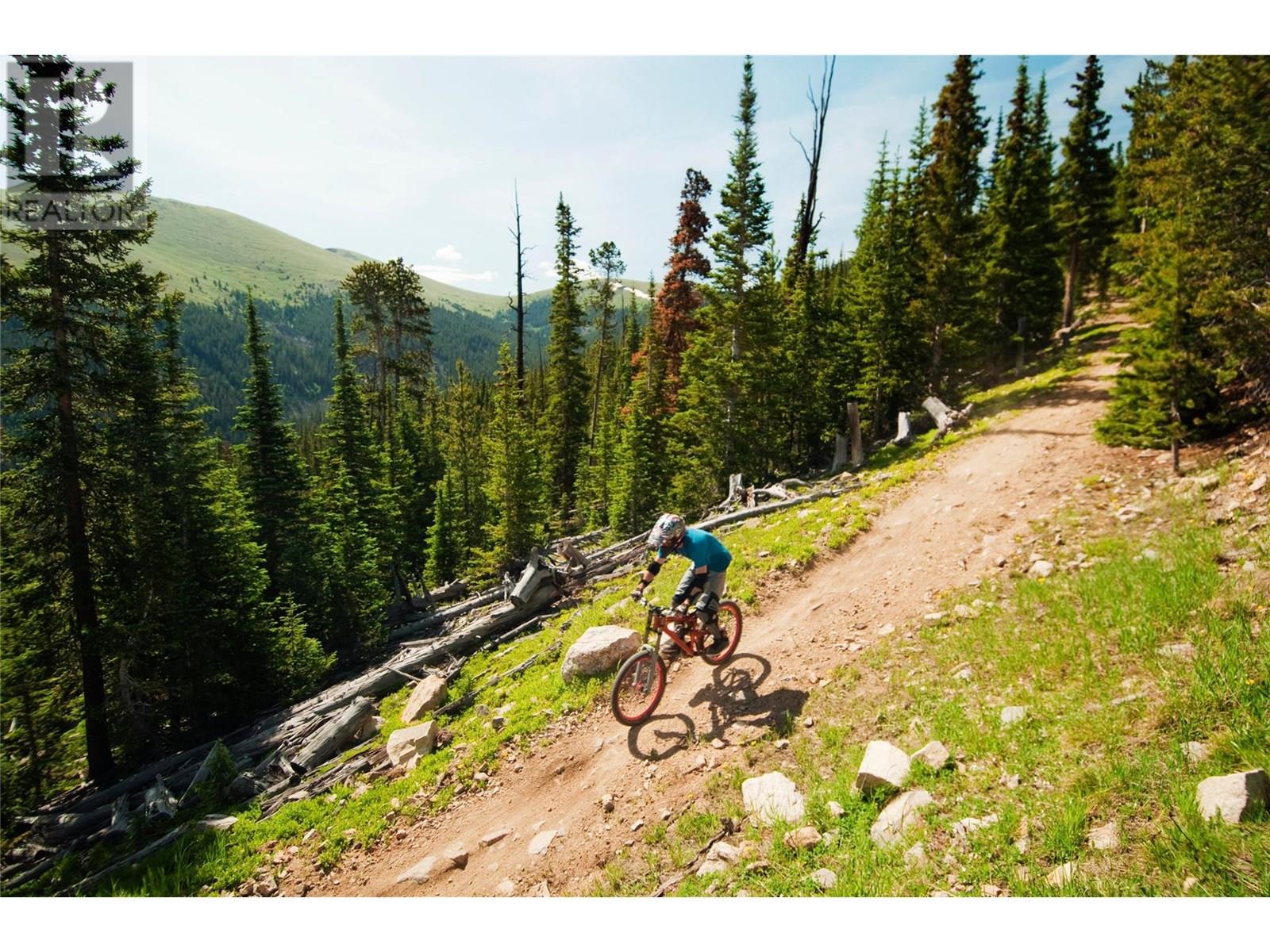 1545 Kicking Horse Trail Unit# 111, Golden, British Columbia  V0A 1H0 - Photo 26 - 10354754