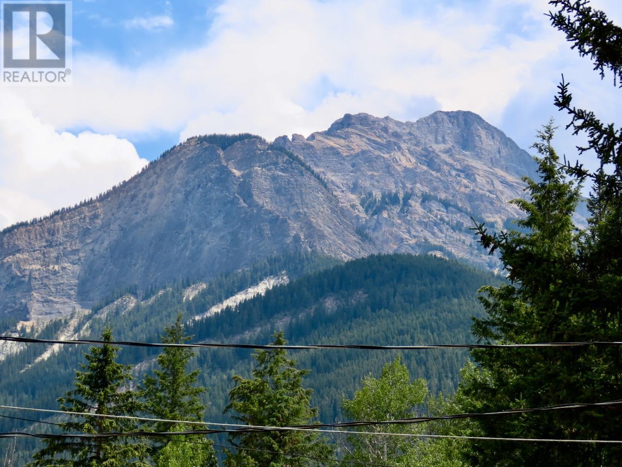 1871 Blaeberry Road, Golden, British Columbia  V0A 1H0 - Photo 35 - 10354768