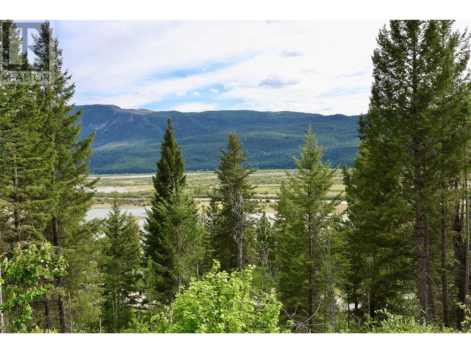 4975 Castledale View Estates Road, Golden, British Columbia  V0A 1L0 - Photo 3 - 10355192