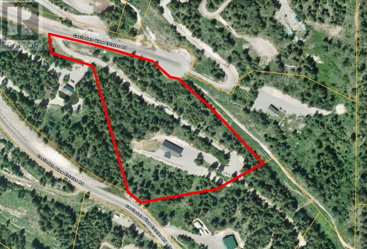 4975 Castledale View Estates Road, Golden, British Columbia  V0A 1L0 - Photo 33 - 10355192