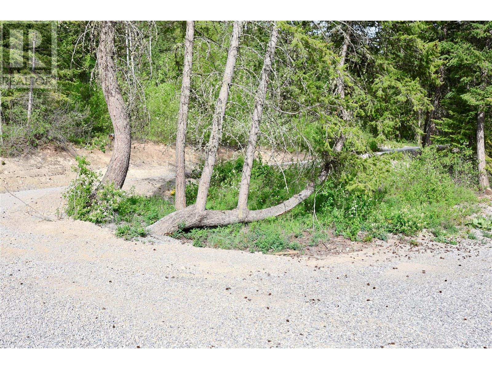 4975 Castledale View Estates Road, Golden, British Columbia  V0A 1L0 - Photo 36 - 10355192