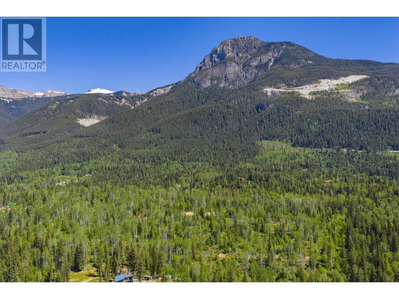 1155 Golden Donald Upper Road, Golden, British Columbia  V0A 1H1 - Photo 10 - 10355326