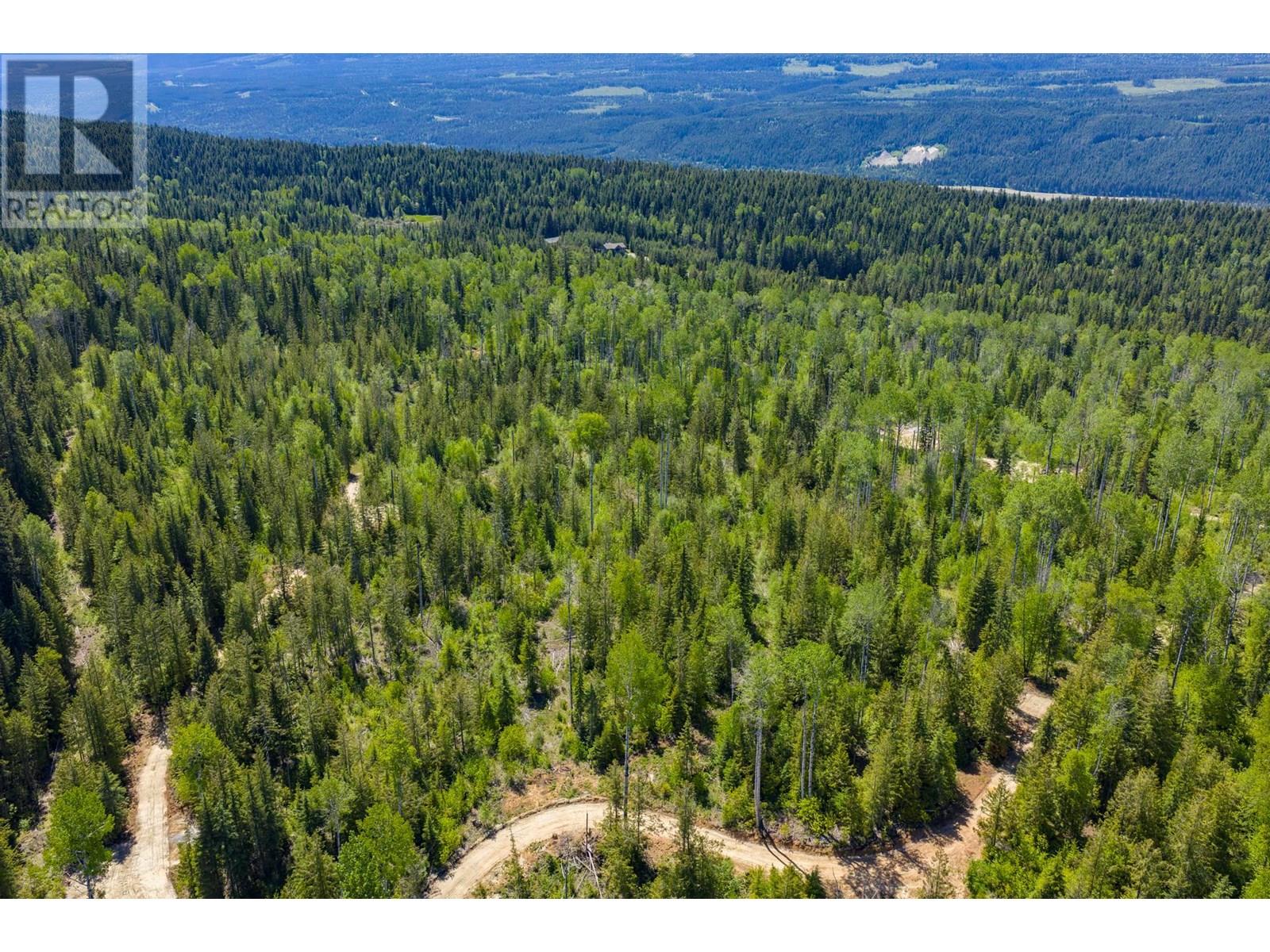 1155 Golden Donald Upper Road, Golden, British Columbia  V0A 1H1 - Photo 11 - 10355326