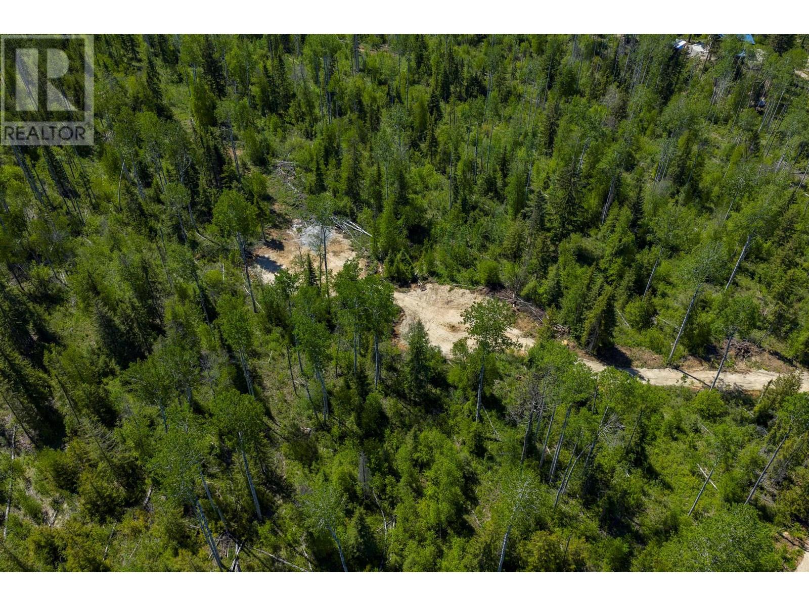 1155 Golden Donald Upper Road, Golden, British Columbia  V0A 1H1 - Photo 12 - 10355326