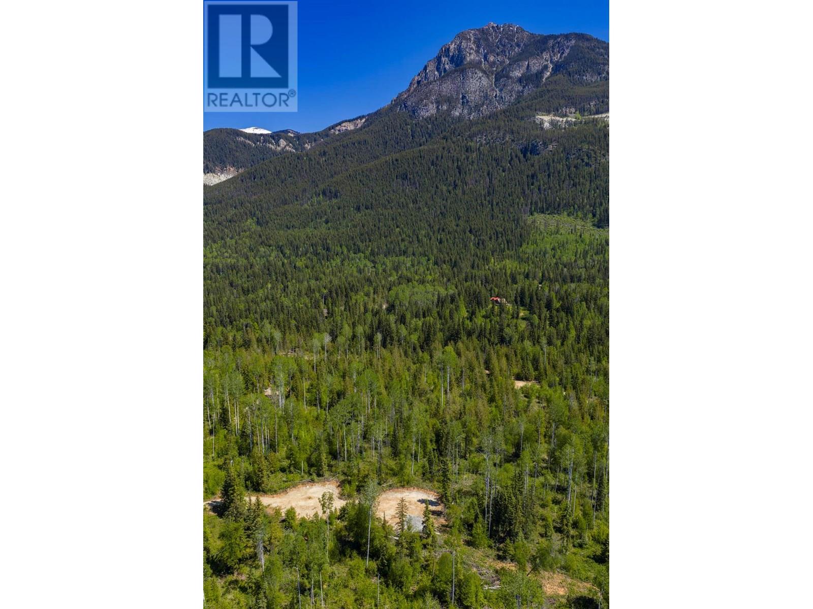 1155 Golden Donald Upper Road, Golden, British Columbia  V0A 1H1 - Photo 17 - 10355326