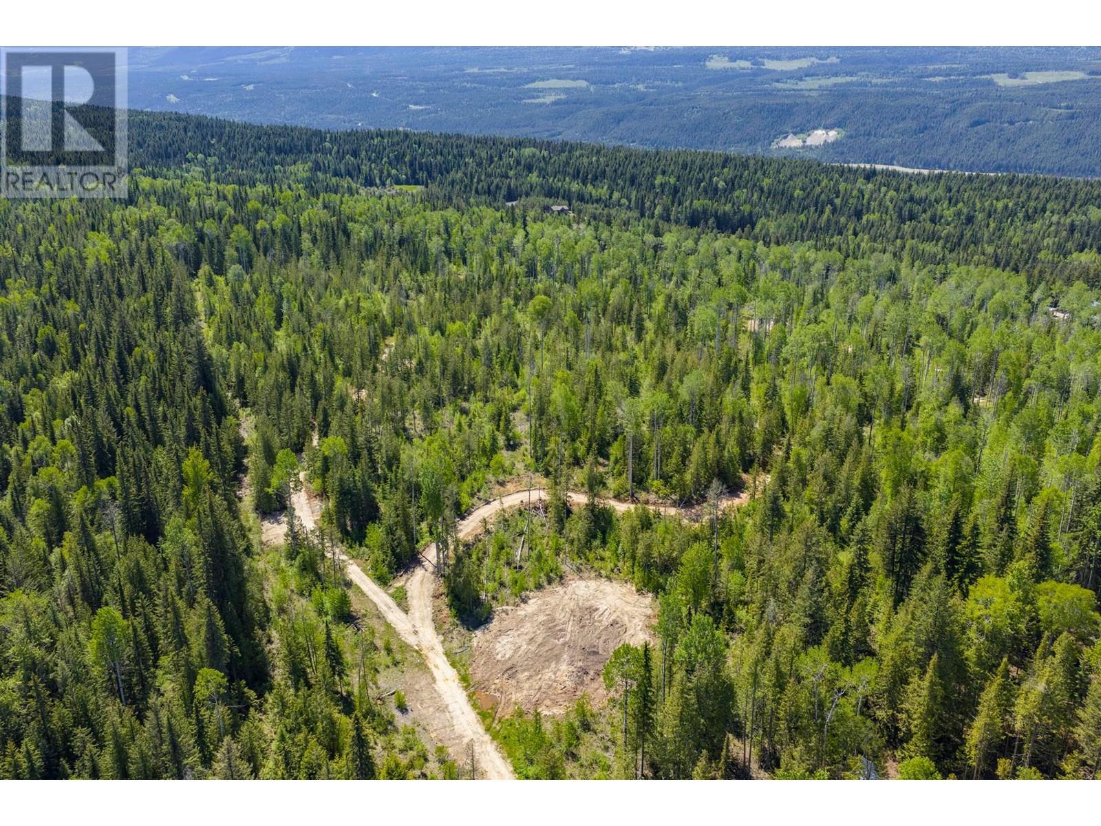 1155 Golden Donald Upper Road, Golden, British Columbia  V0A 1H1 - Photo 2 - 10355326