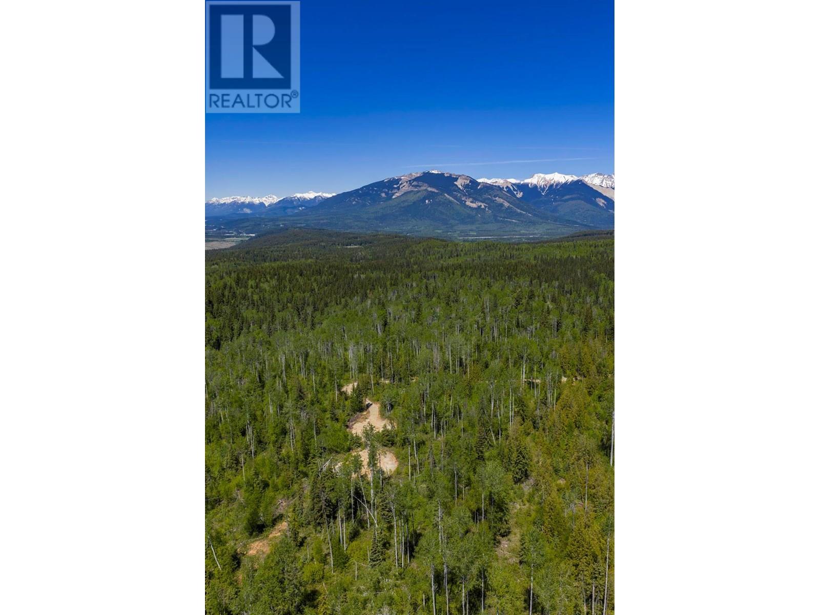 1155 Golden Donald Upper Road, Golden, British Columbia  V0A 1H1 - Photo 22 - 10355326