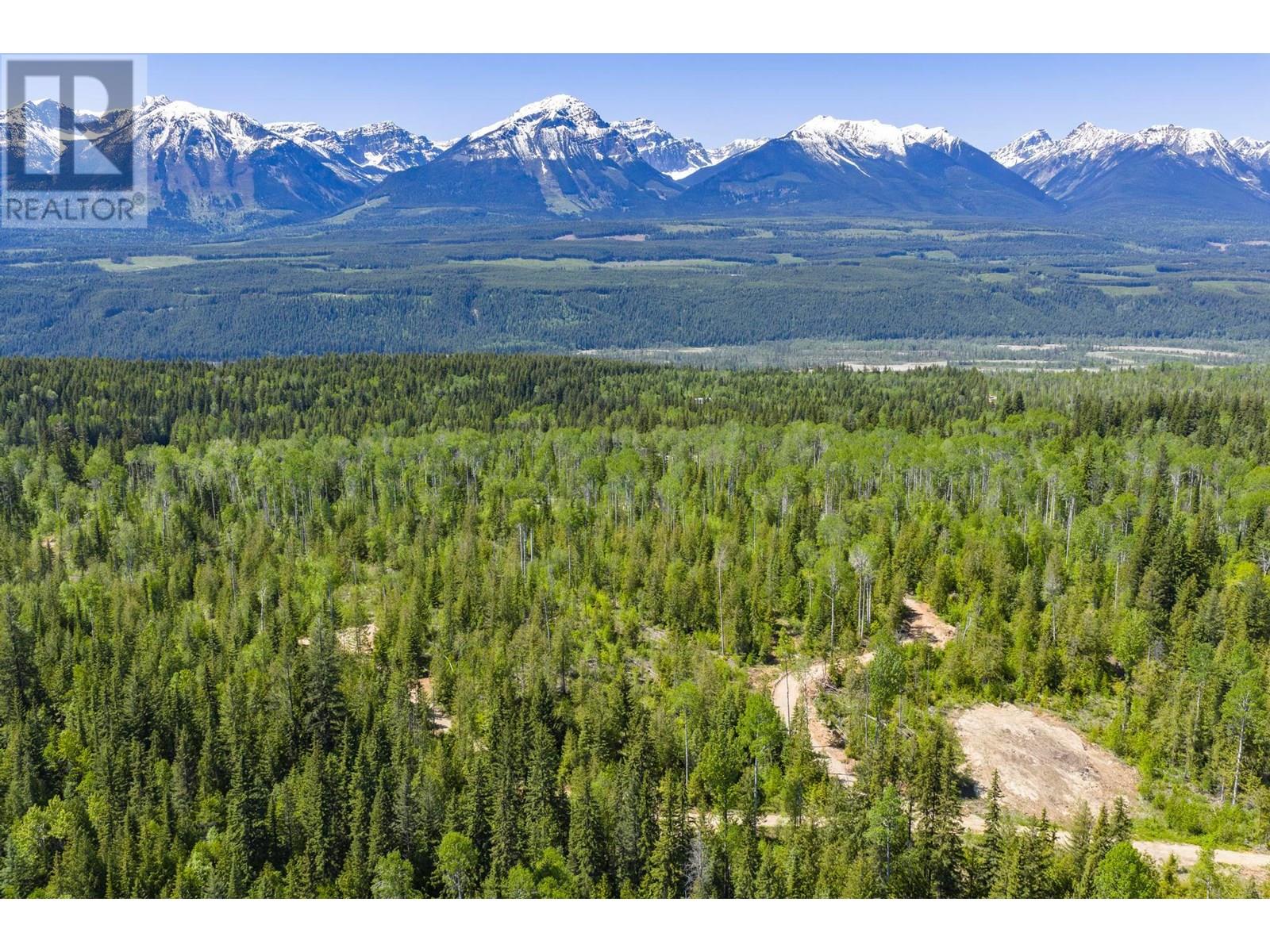 1155 Golden Donald Upper Road, Golden, British Columbia  V0A 1H1 - Photo 4 - 10355326