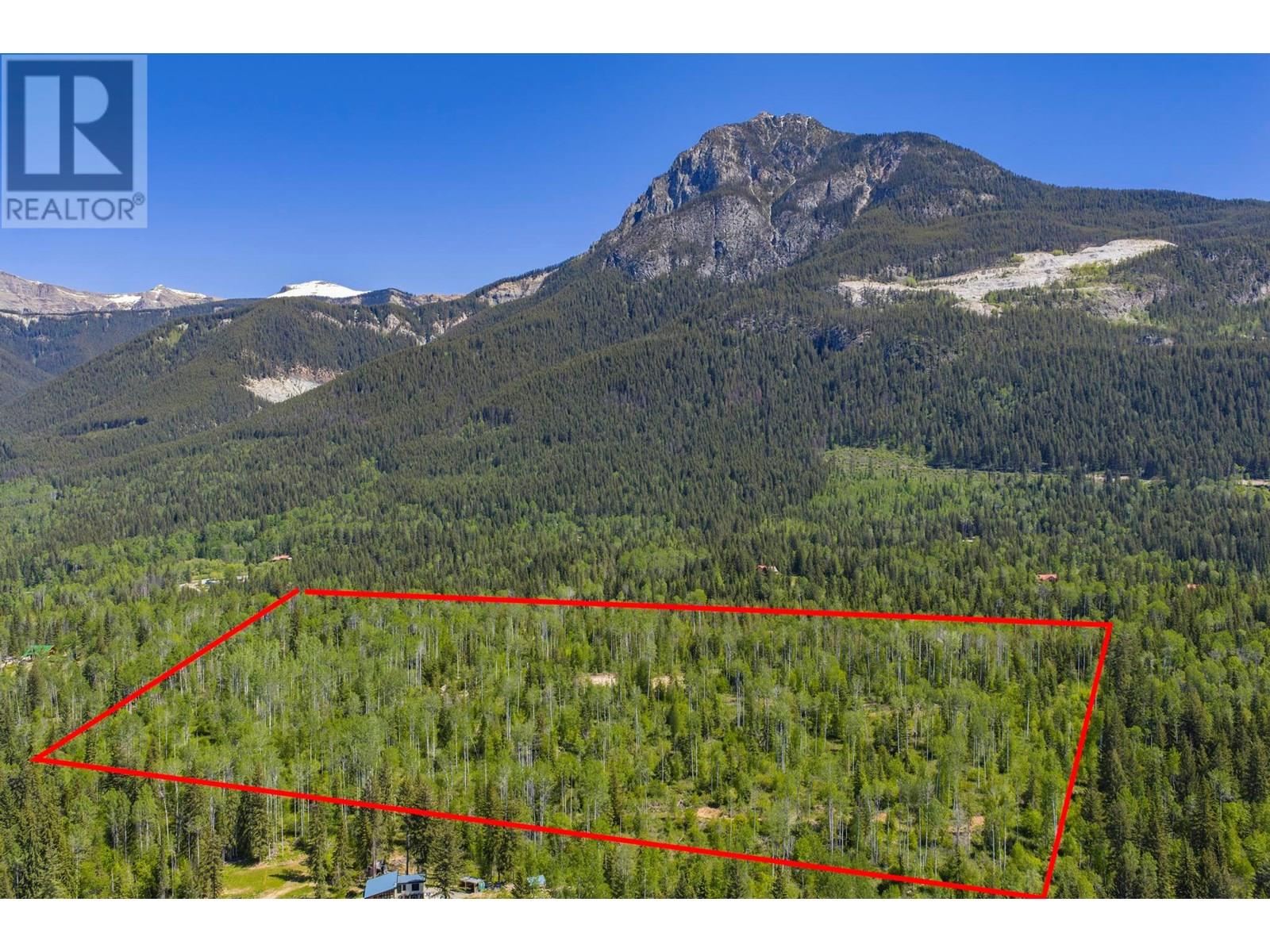 1155 Golden Donald Upper Road, Golden, British Columbia  V0A 1H1 - Photo 6 - 10355326