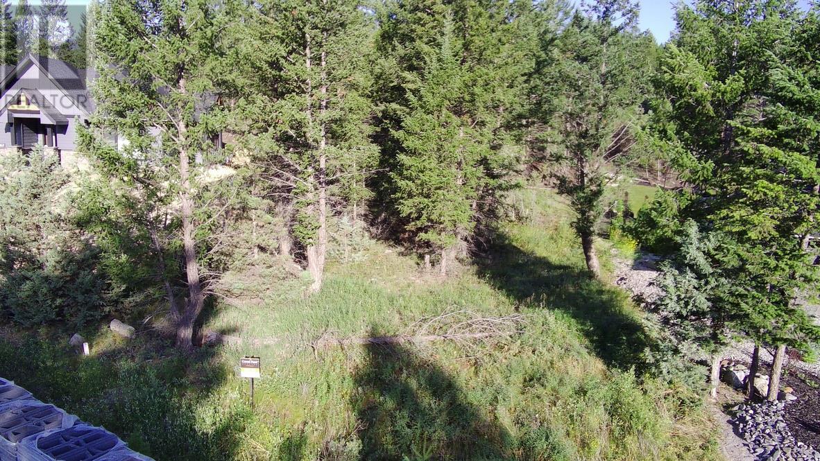 24 Cooper Road Lot# 24, Windermere, British Columbia  V0A 1K2 - Photo 11 - 10356264