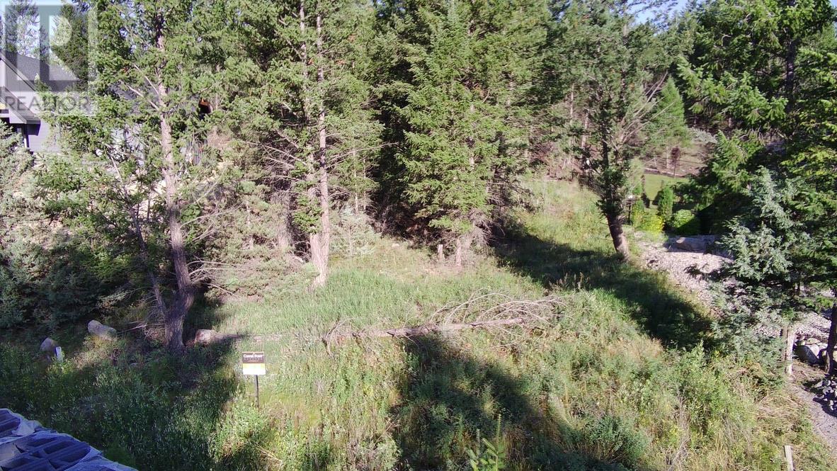 24 Cooper Road Lot# 24, Windermere, British Columbia  V0A 1K2 - Photo 13 - 10356264