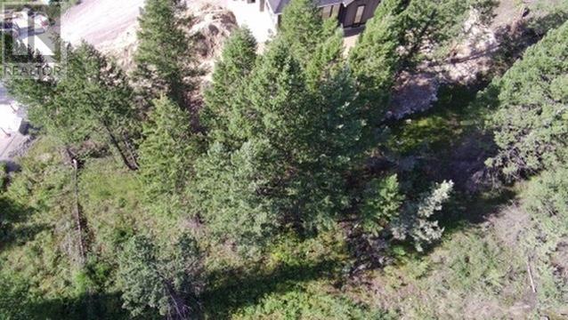 24 Cooper Road Lot# 24, Windermere, British Columbia  V0A 1K2 - Photo 14 - 10356264