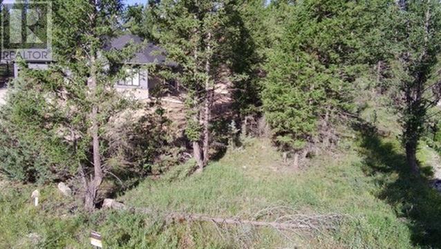 24 Cooper Road Lot# 24, Windermere, British Columbia  V0A 1K2 - Photo 16 - 10356264