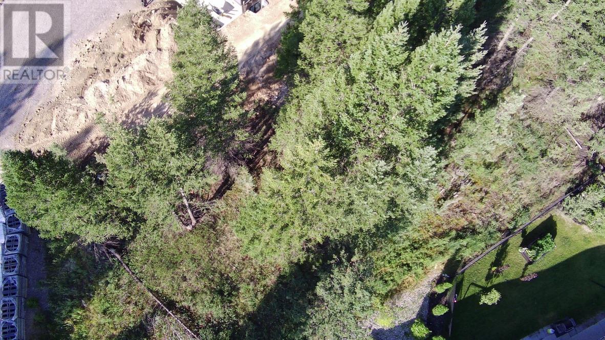 24 Cooper Road Lot# 24, Windermere, British Columbia  V0A 1K2 - Photo 4 - 10356264
