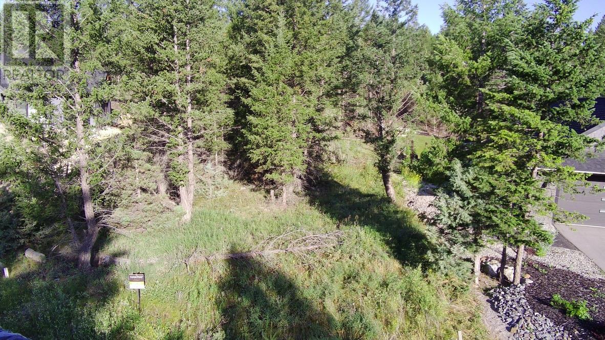 24 Cooper Road Lot# 24, Windermere, British Columbia  V0A 1K2 - Photo 5 - 10356264