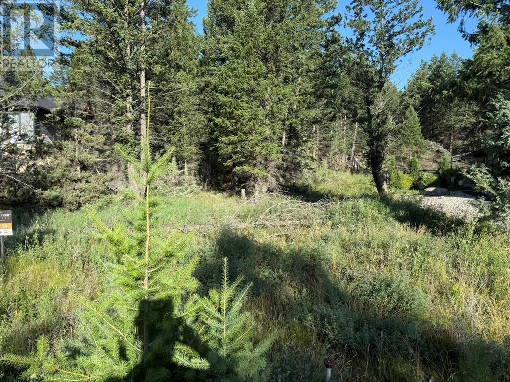 24 Cooper Road Lot# 24, Windermere, British Columbia  V0A 1K2 - Photo 6 - 10356264