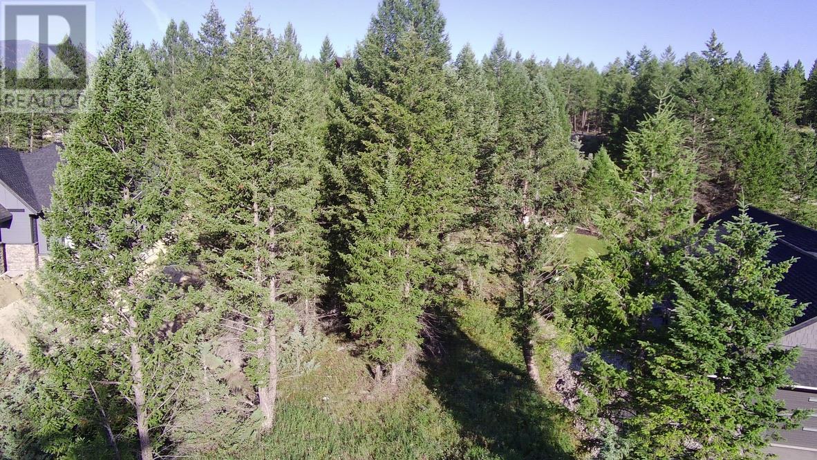 24 Cooper Road Lot# 24, Windermere, British Columbia  V0A 1K2 - Photo 8 - 10356264