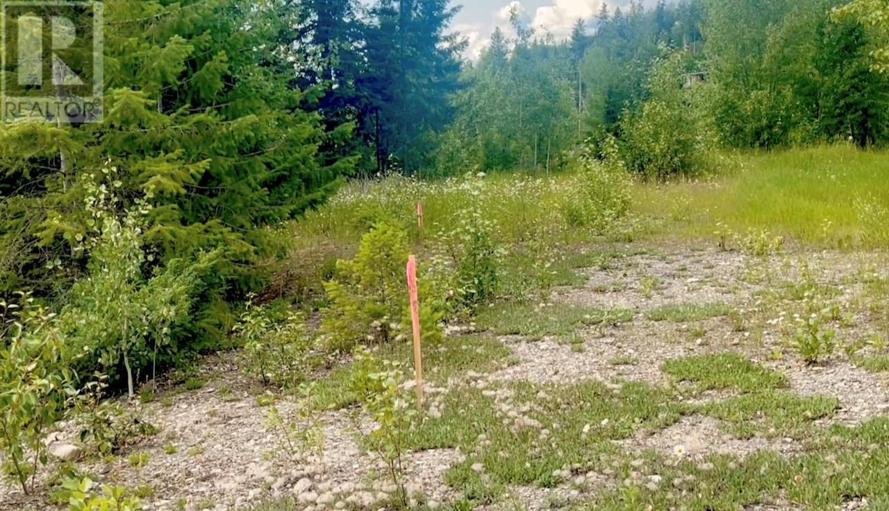542 Day Road, Golden, British Columbia  V0A 1H0 - Photo 25 - 10356378