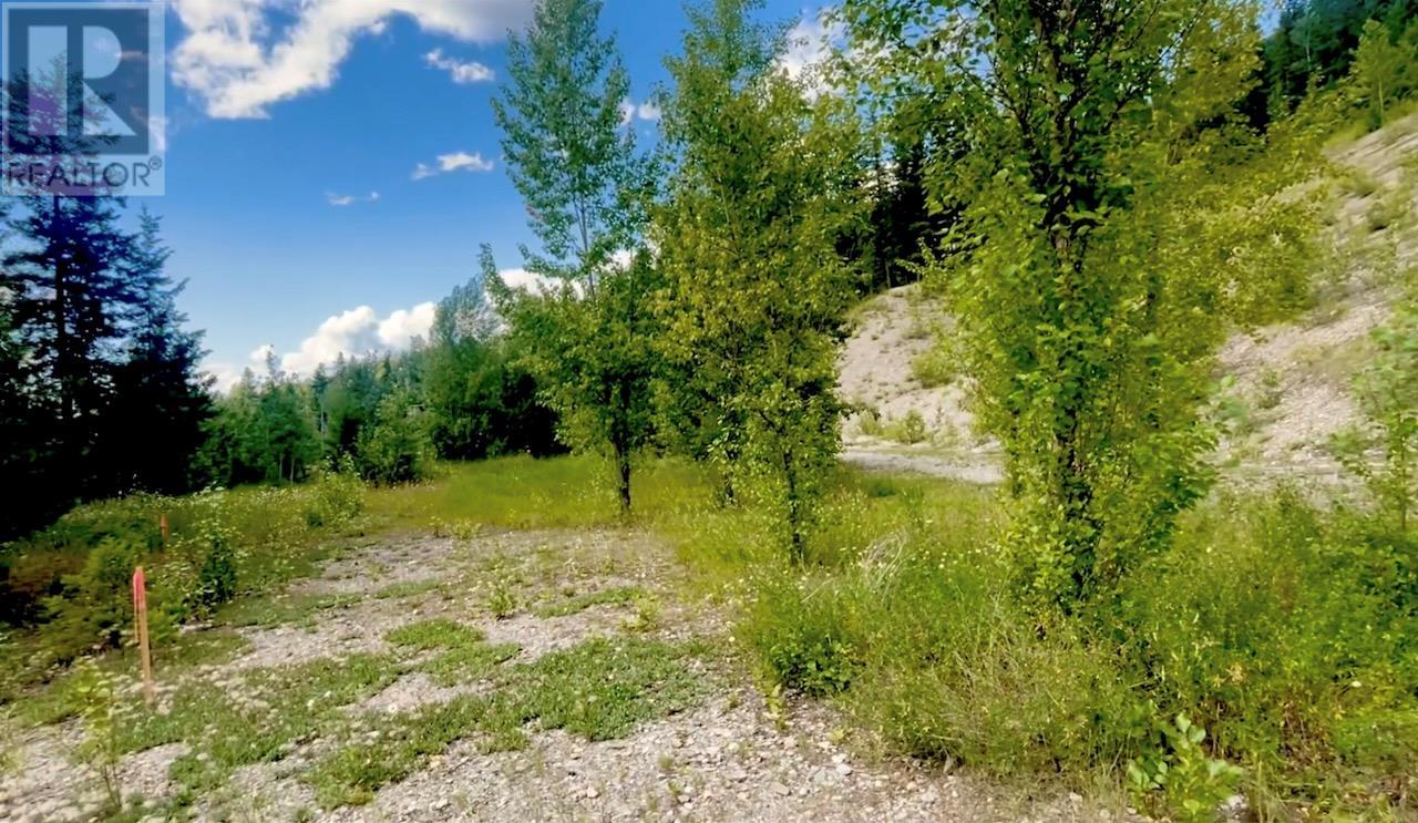 542 Day Road, Golden, British Columbia  V0A 1H0 - Photo 26 - 10356378