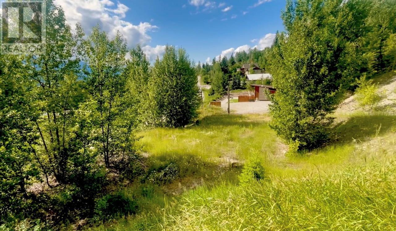 542 Day Road, Golden, British Columbia  V0A 1H0 - Photo 27 - 10356378