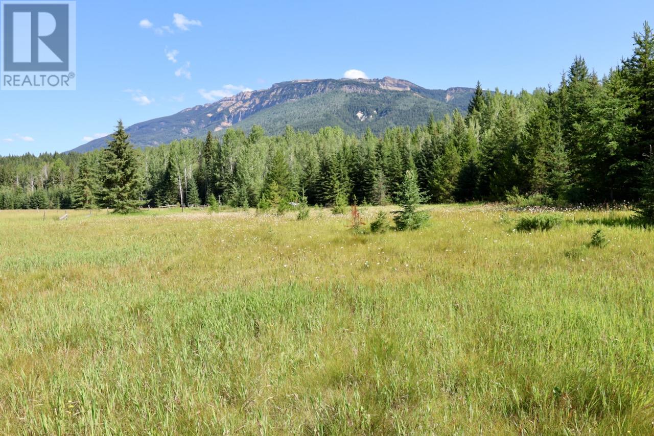 2383 Kettleston Road, Golden, British Columbia  V0A 1H0 - Photo 26 - 10356350