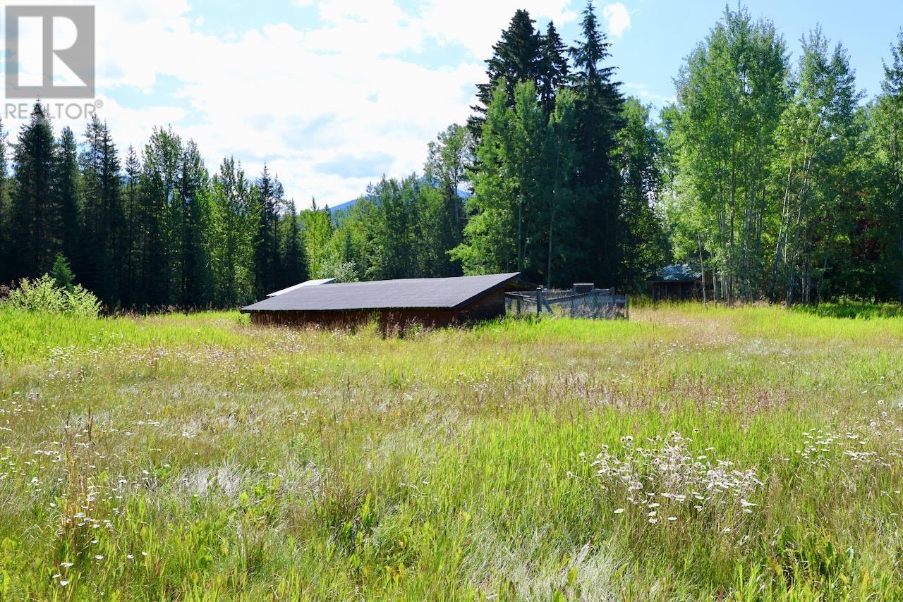 2383 Kettleston Road, Golden, British Columbia  V0A 1H0 - Photo 27 - 10356350