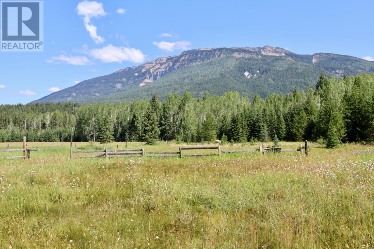 2383 Kettleston Road, Golden, British Columbia  V0A 1H0 - Photo 29 - 10356350
