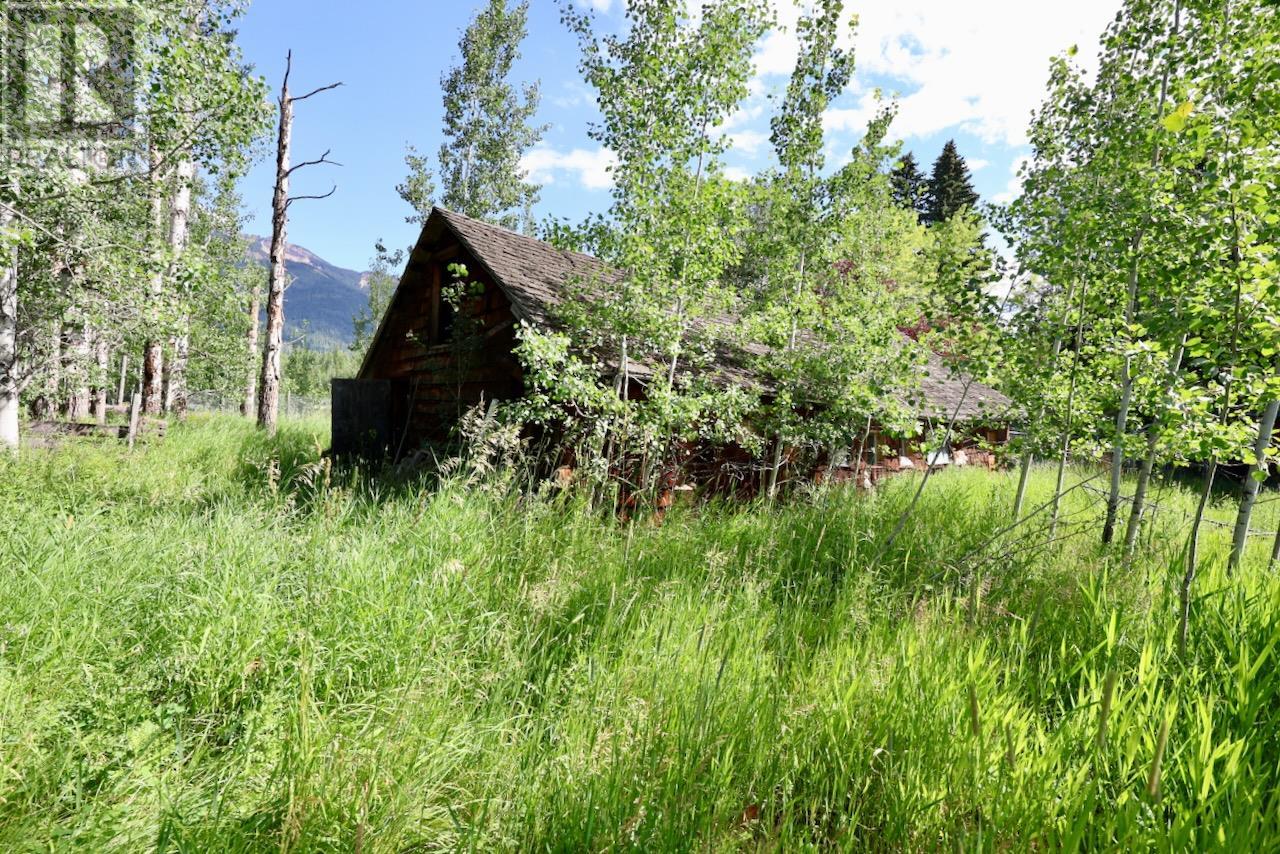 2383 Kettleston Road, Golden, British Columbia  V0A 1H0 - Photo 61 - 10356350