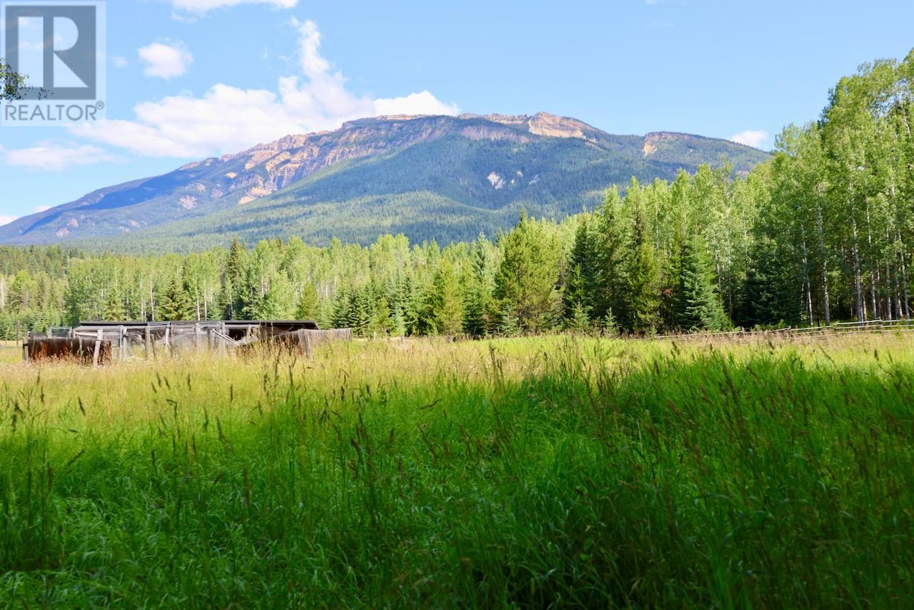 2383 Kettleston Road, Golden, British Columbia  V0A 1H0 - Photo 62 - 10356350