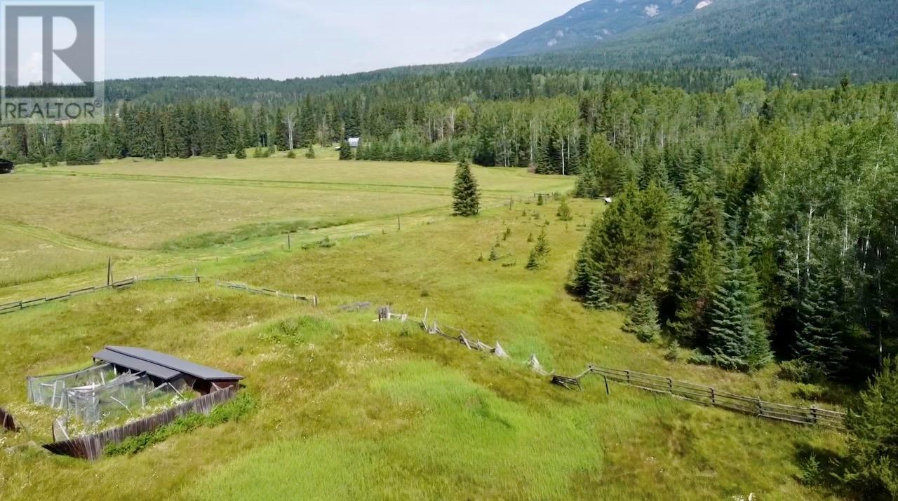 2383 Kettleston Road, Golden, British Columbia  V0A 1H0 - Photo 8 - 10356350