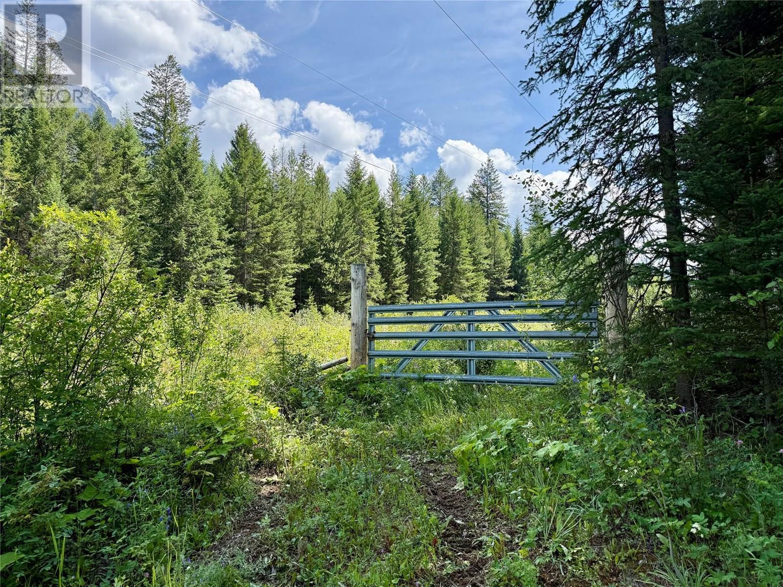 1739 Campbell Road, Golden, British Columbia  V0A 1H7 - Photo 45 - 10356379
