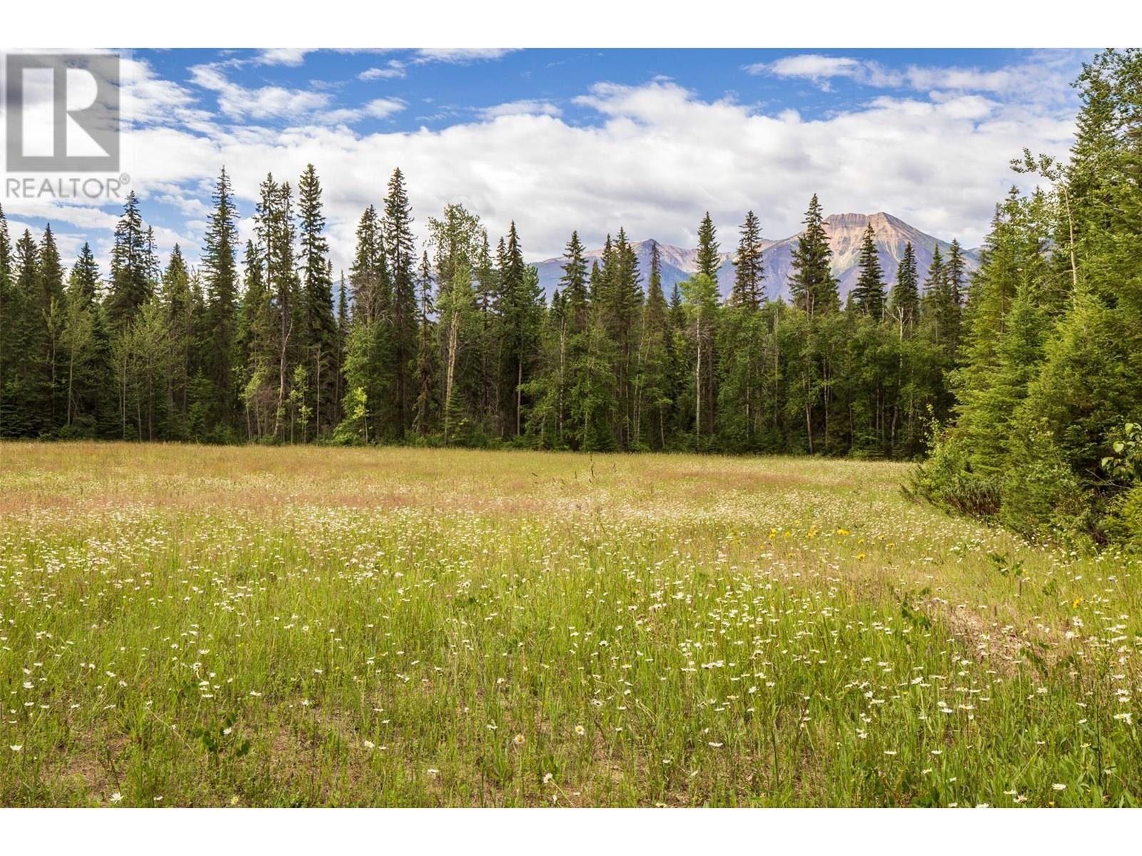 1739 Campbell Road, Golden, British Columbia  V0A 1H7 - Photo 48 - 10356379