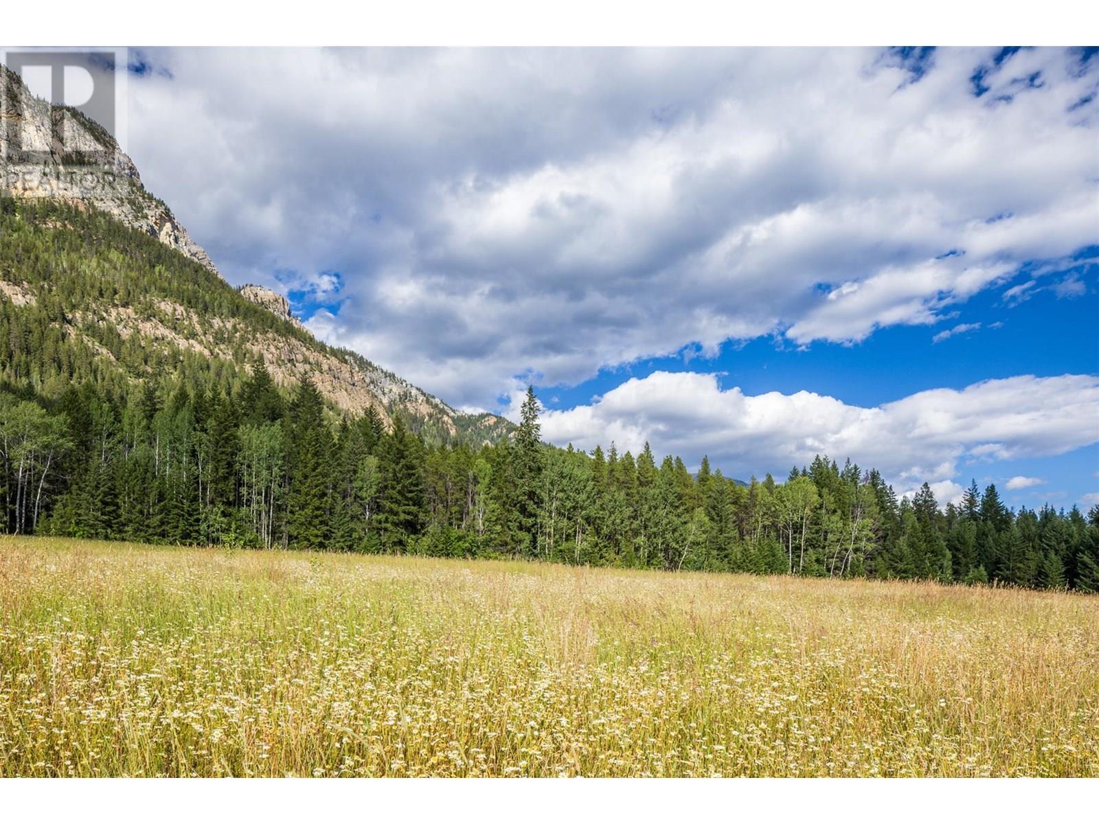 1739 Campbell Road, Golden, British Columbia  V0A 1H7 - Photo 49 - 10356379