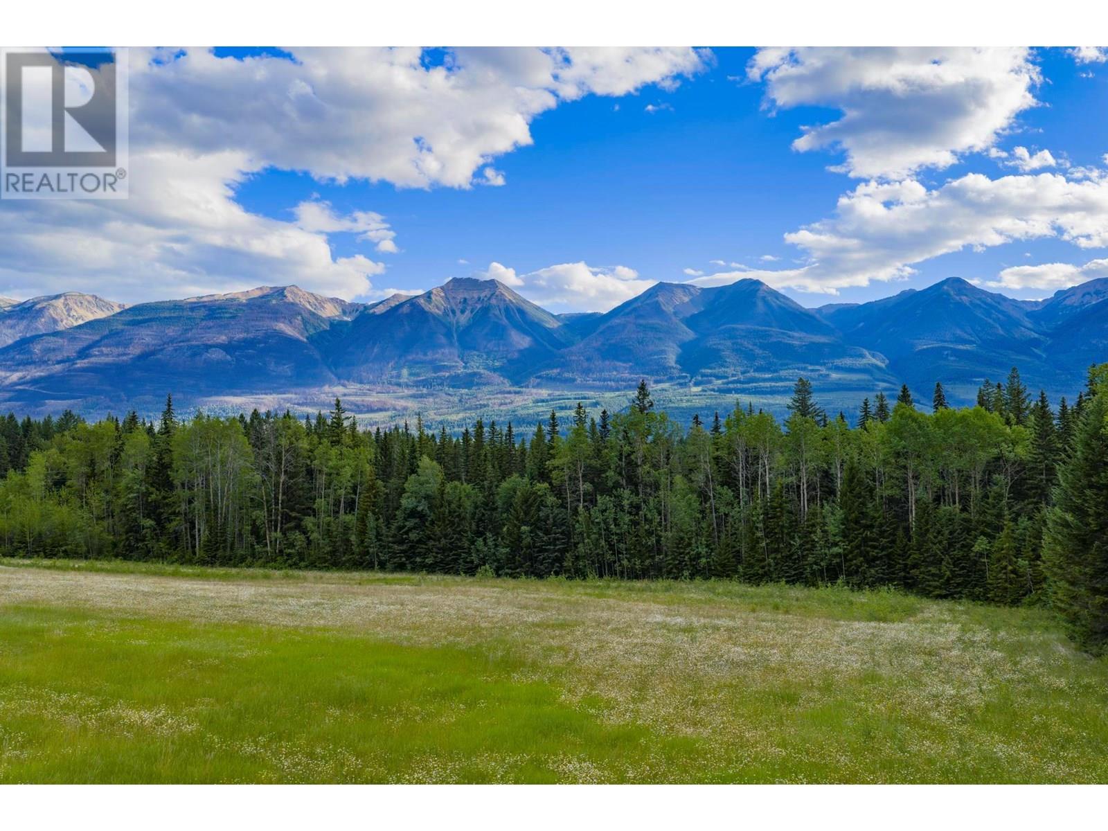 1739 Campbell Road, Golden, British Columbia  V0A 1H7 - Photo 54 - 10356379