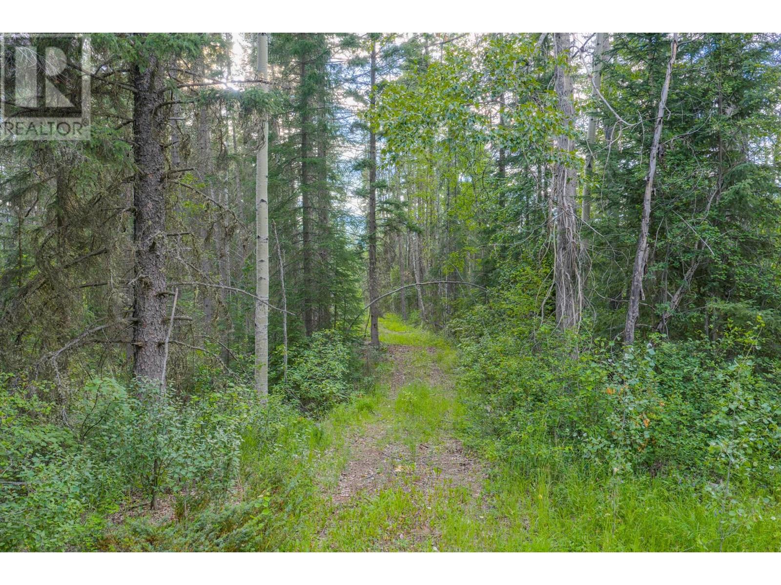 1739 Campbell Road, Golden, British Columbia  V0A 1H7 - Photo 59 - 10356379