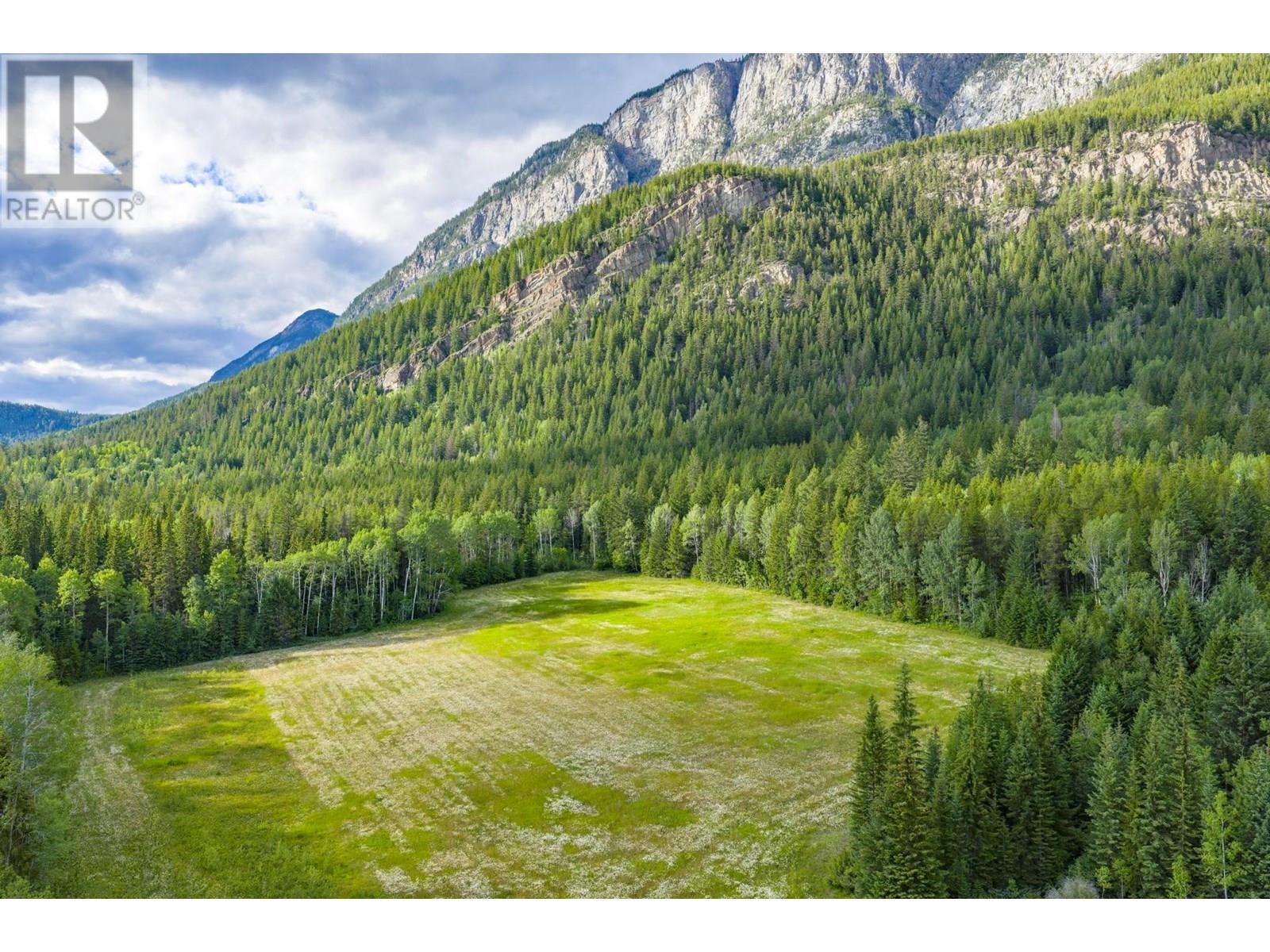 1739 Campbell Road, Golden, British Columbia  V0A 1H7 - Photo 62 - 10356379