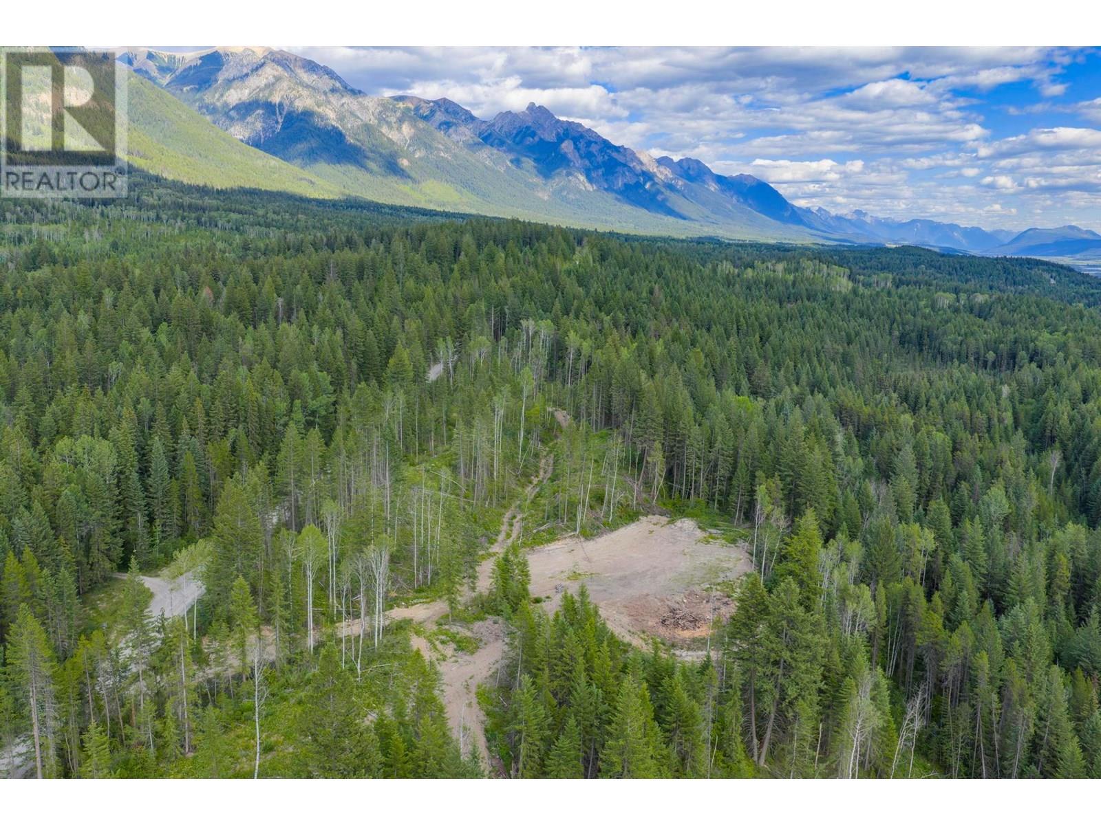 1739 Campbell Road, Golden, British Columbia  V0A 1H7 - Photo 77 - 10356379