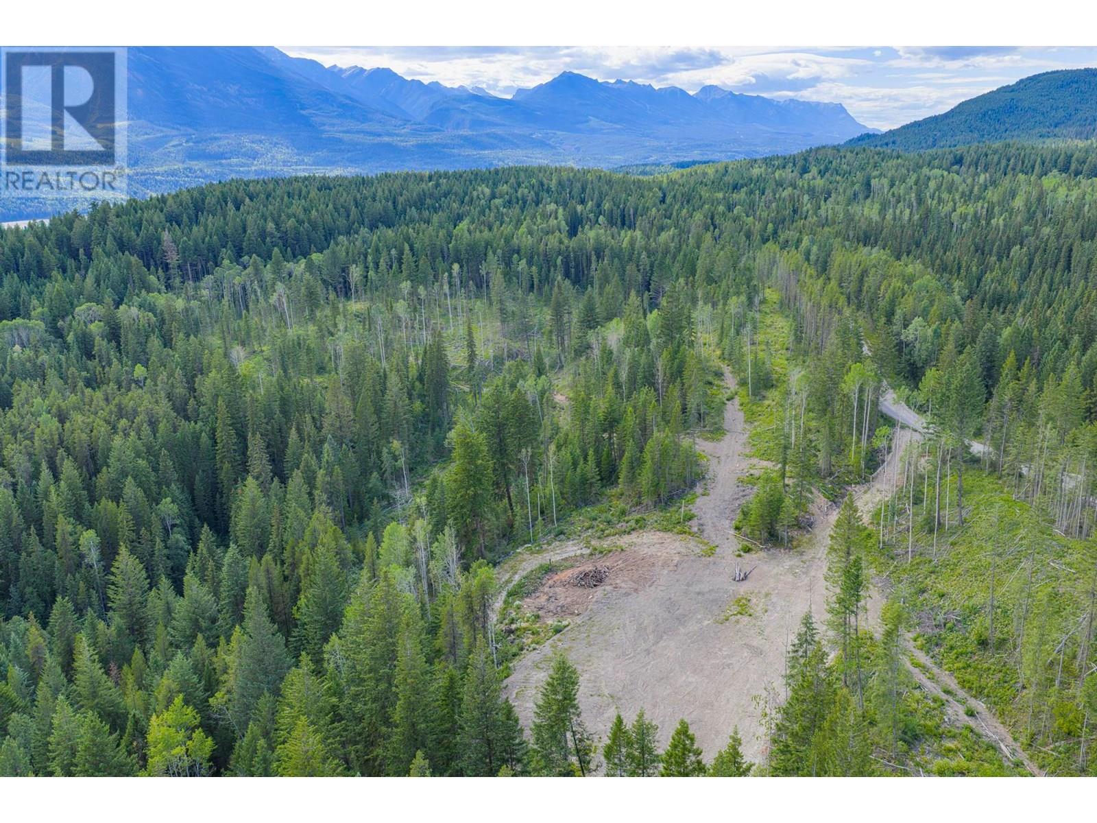 1739 Campbell Road, Golden, British Columbia  V0A 1H7 - Photo 78 - 10356379
