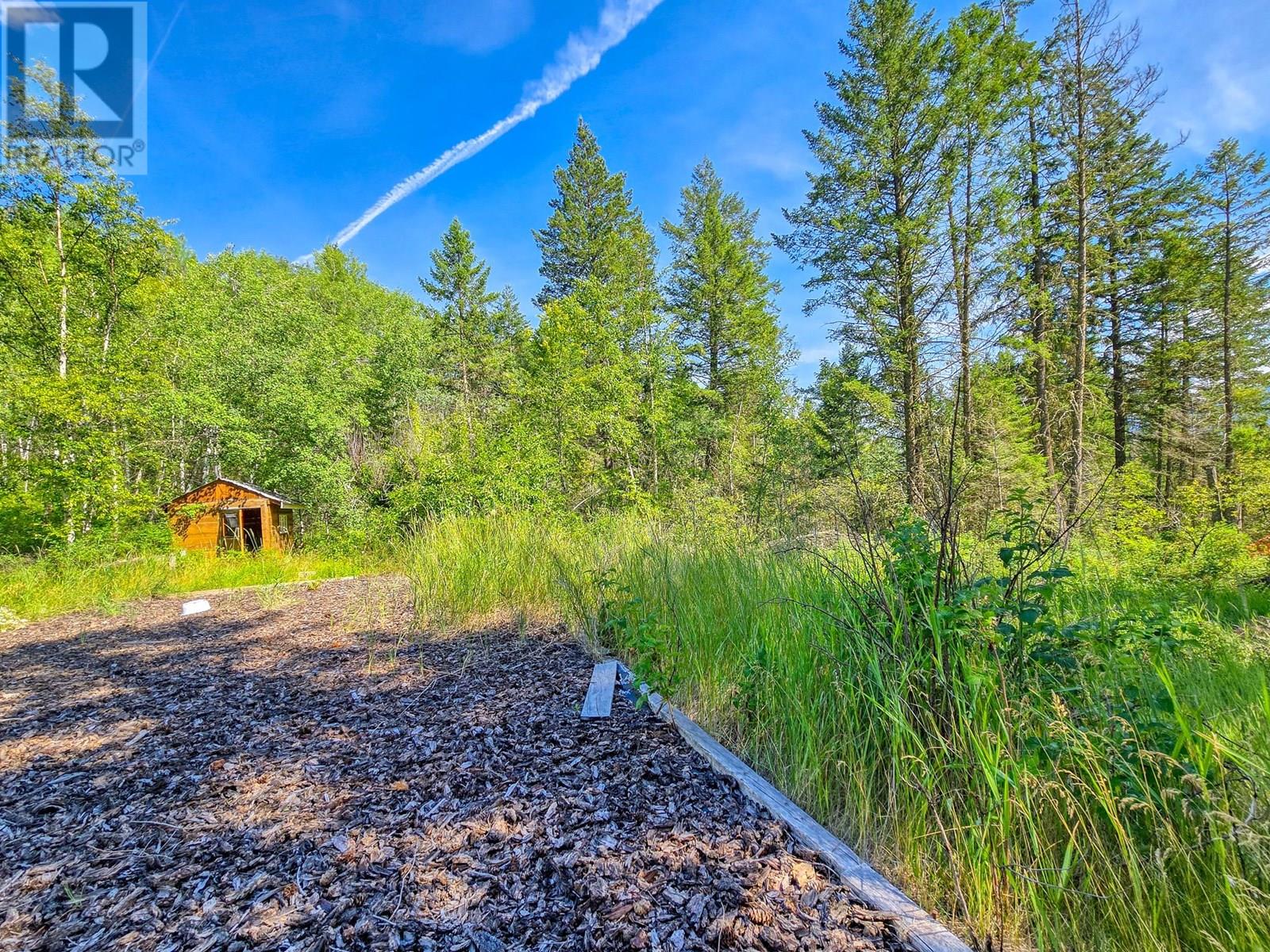 2830 Berrey Road, Brisco, British Columbia  V0A 1B0 - Photo 34 - 10356151