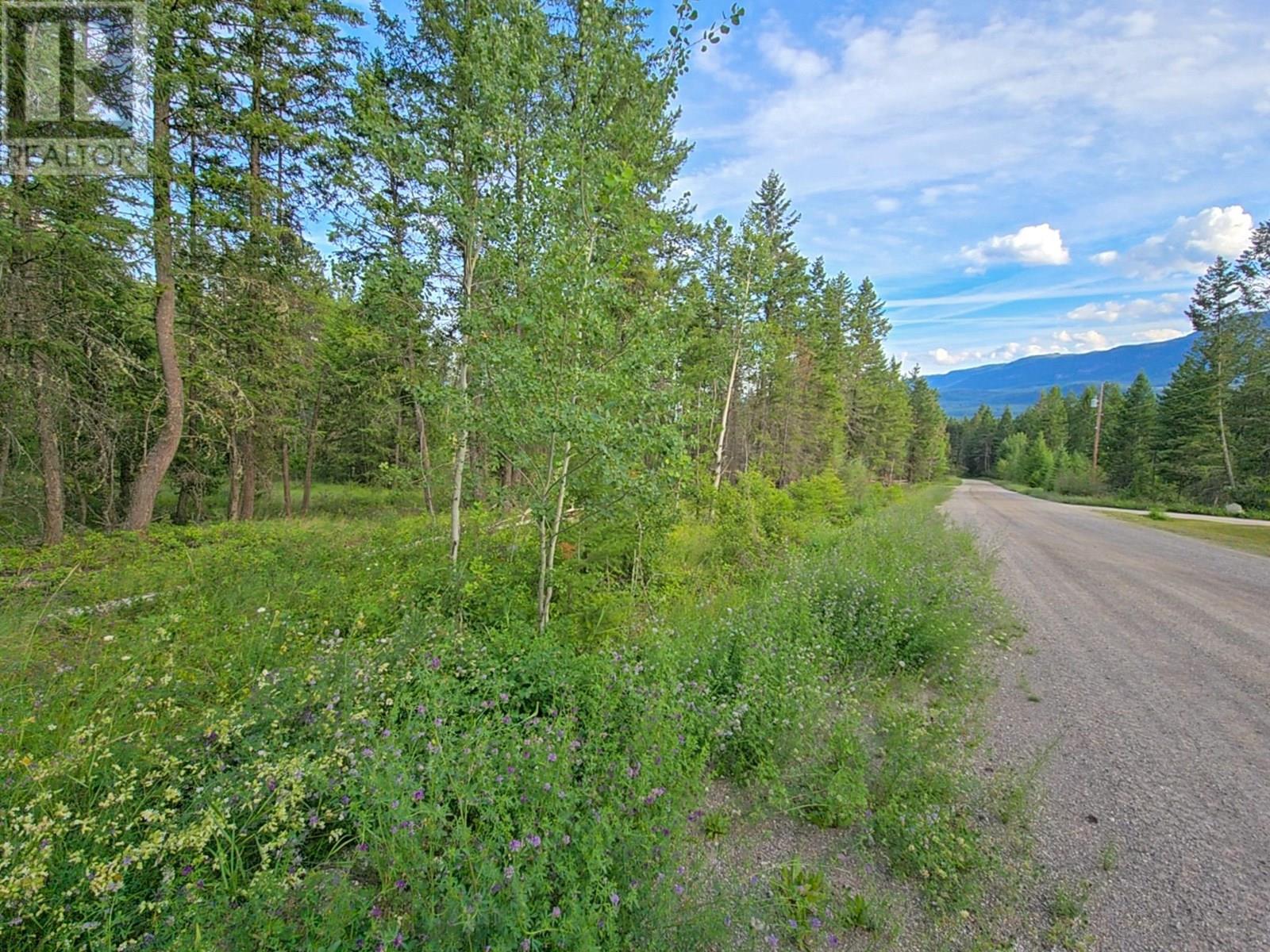 2830 Berrey Road, Brisco, British Columbia  V0A 1B0 - Photo 78 - 10356151