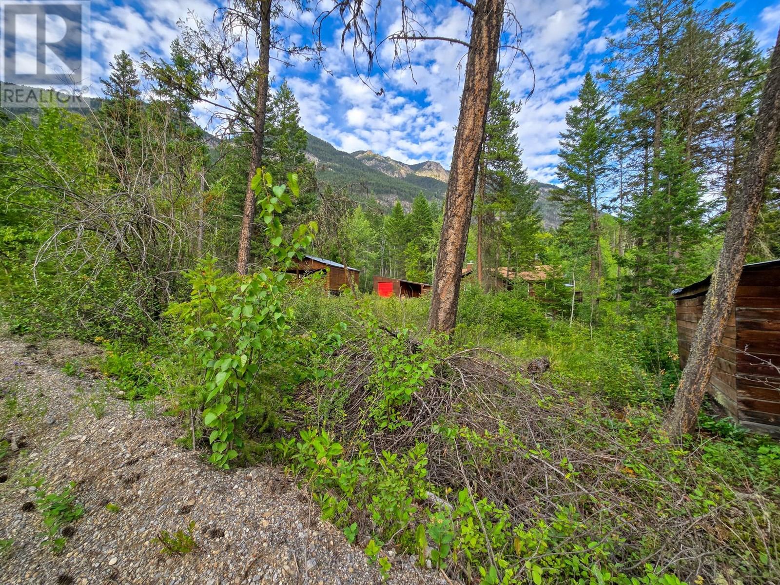 2830 Berrey Road, Brisco, British Columbia  V0A 1B0 - Photo 80 - 10356151