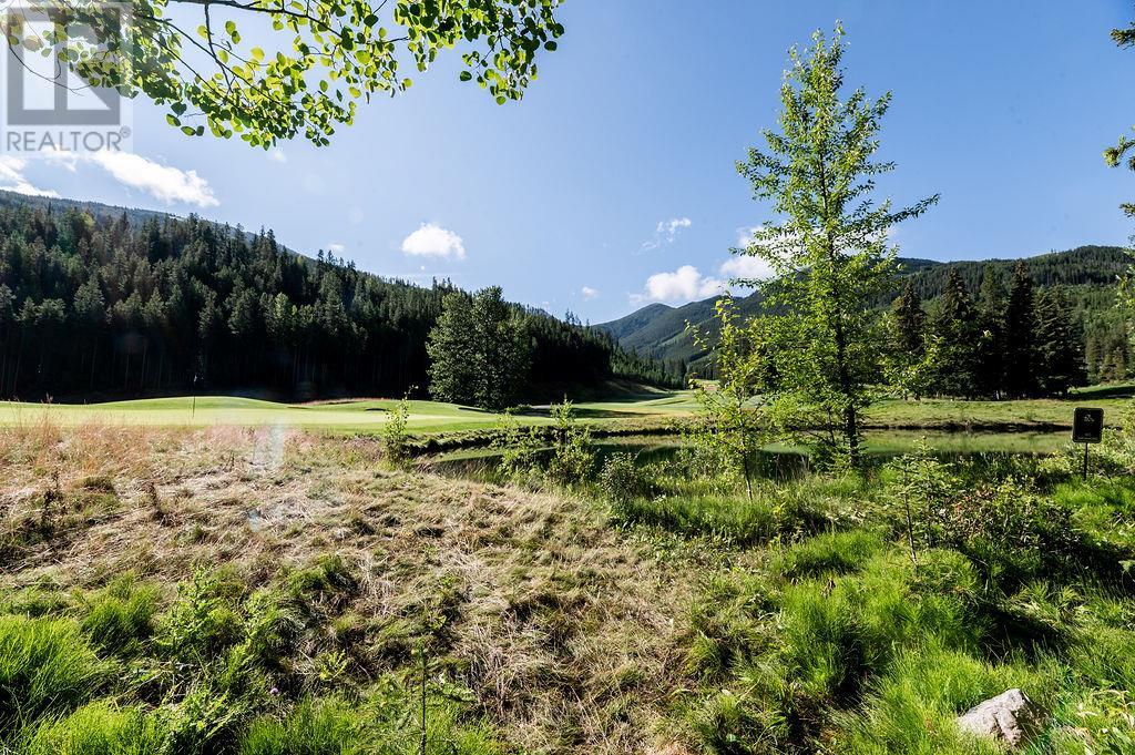 1856 Greywolf Drive Unit# 13 Lot# 13, Panorama, British Columbia  V0A 1T0 - Photo 3 - 10356806