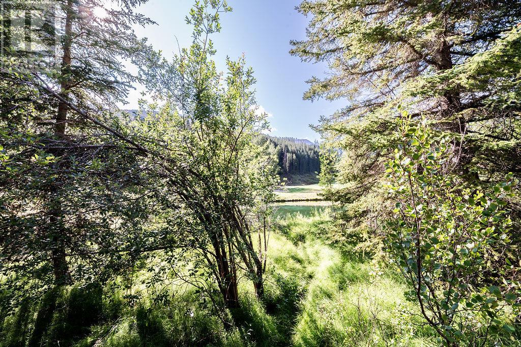 1856 Greywolf Drive Unit# 13 Lot# 13, Panorama, British Columbia  V0A 1T0 - Photo 7 - 10356806