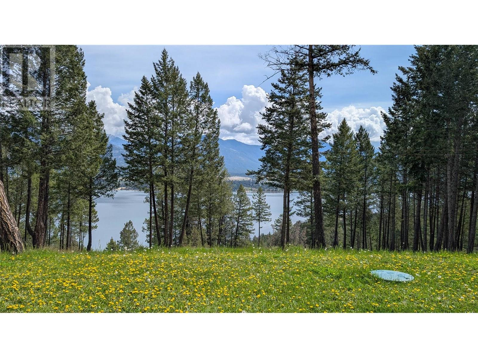 4197 Coy Road, Invermere, British Columbia  V0A 1K4 - Photo 4 - 10357542