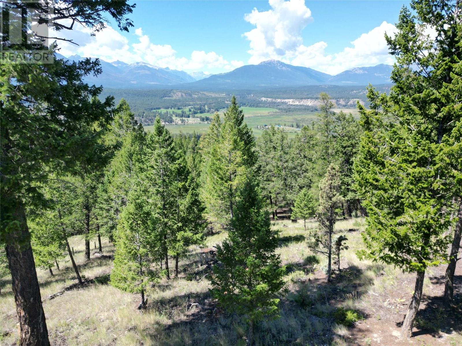 8161 93/95 Highway, Radium Hot Springs, British Columbia  V0A 1M0 - Photo 41 - 10358109