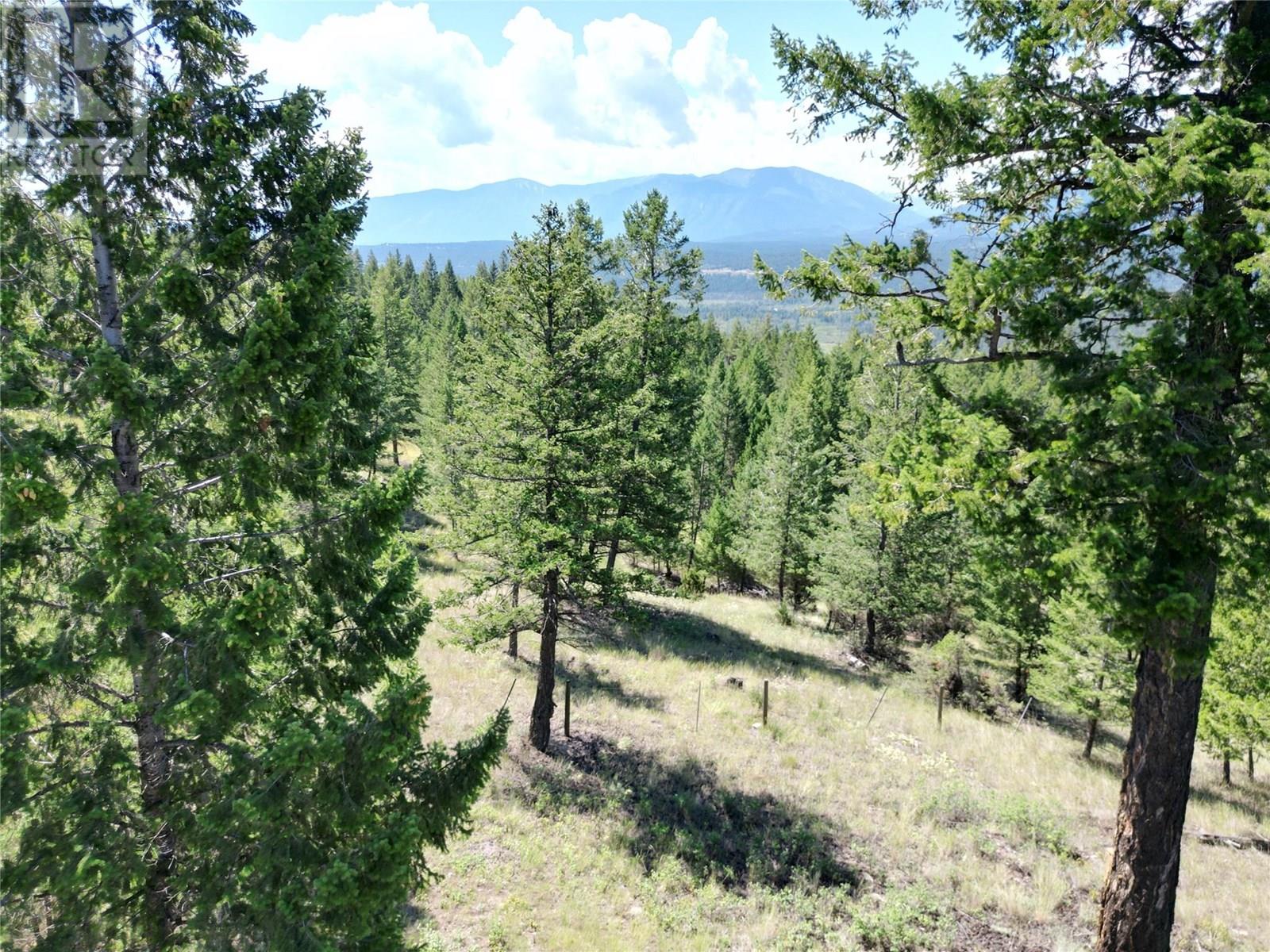 8161 93/95 Highway, Radium Hot Springs, British Columbia  V0A 1M0 - Photo 42 - 10358109