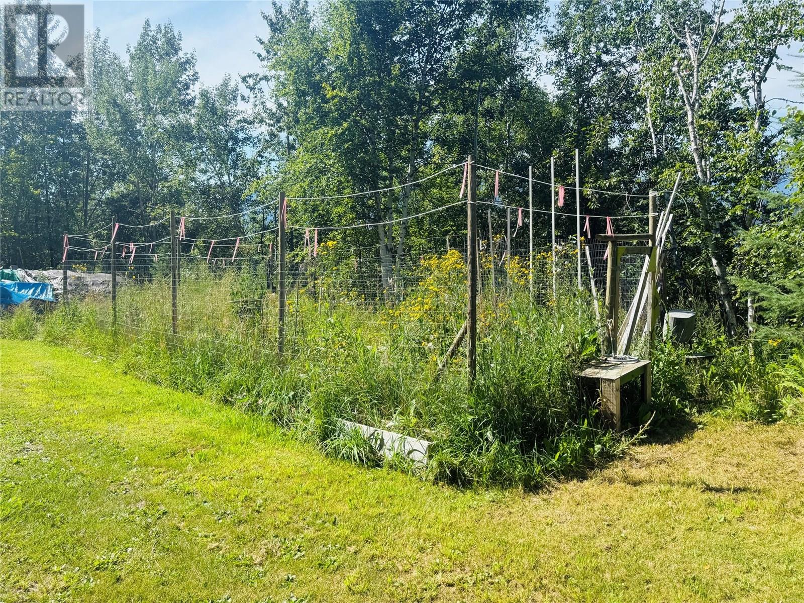 2538 95 Highway, Brisco, British Columbia  V0A 1B0 - Photo 65 - 10357972