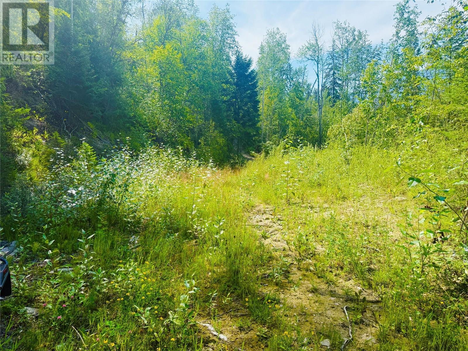 2538 95 Highway, Brisco, British Columbia  V0A 1B0 - Photo 66 - 10357972